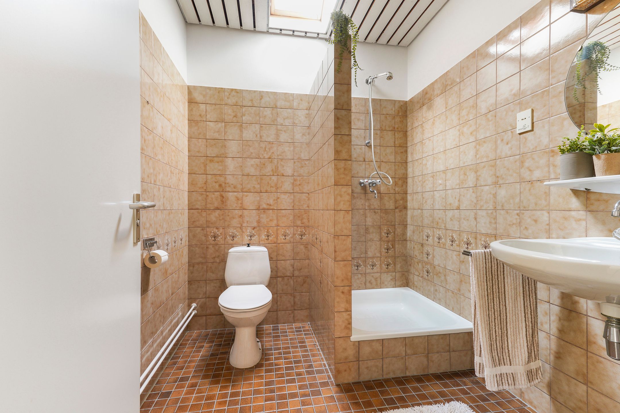 Foto 51 van Swalm 12