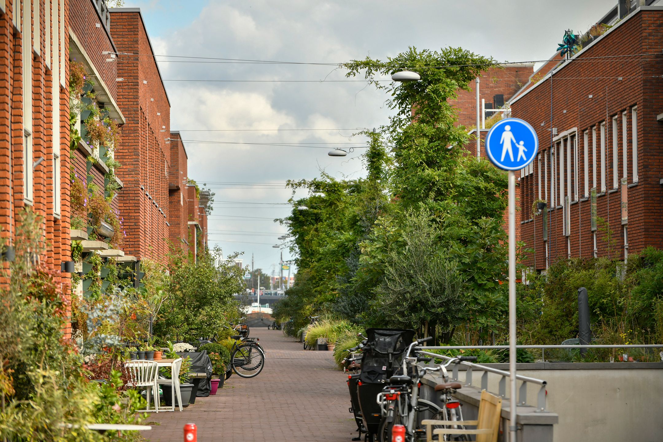 Foto 30 van Stettineiland 78