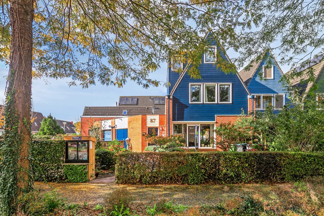 Foto 1 van Silene 87