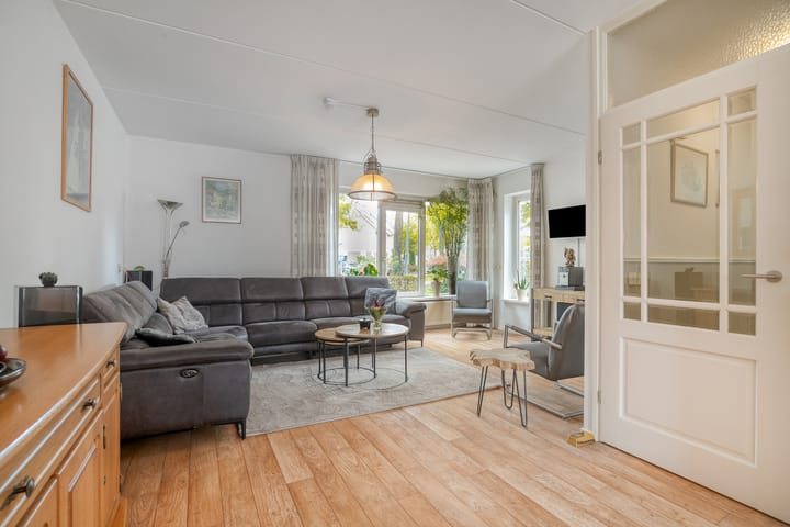 Photo 2 of Silene 87