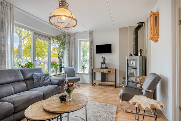 Photo 3 of Silene 87