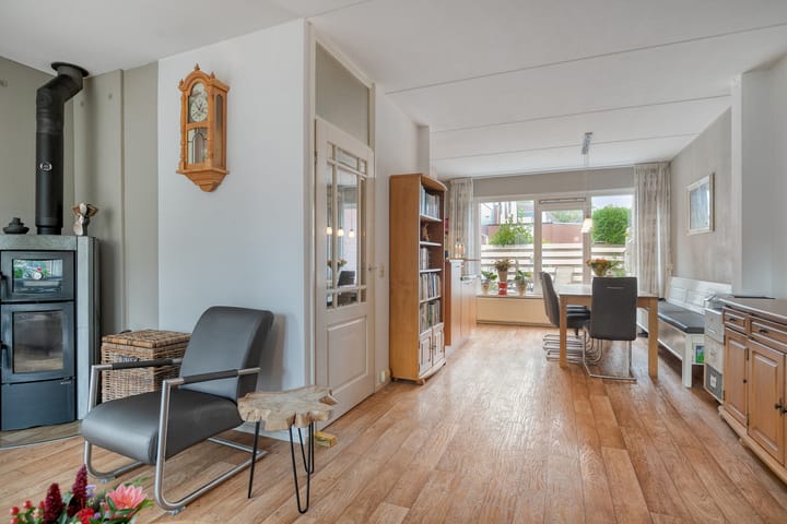 Photo 5 of Silene 87