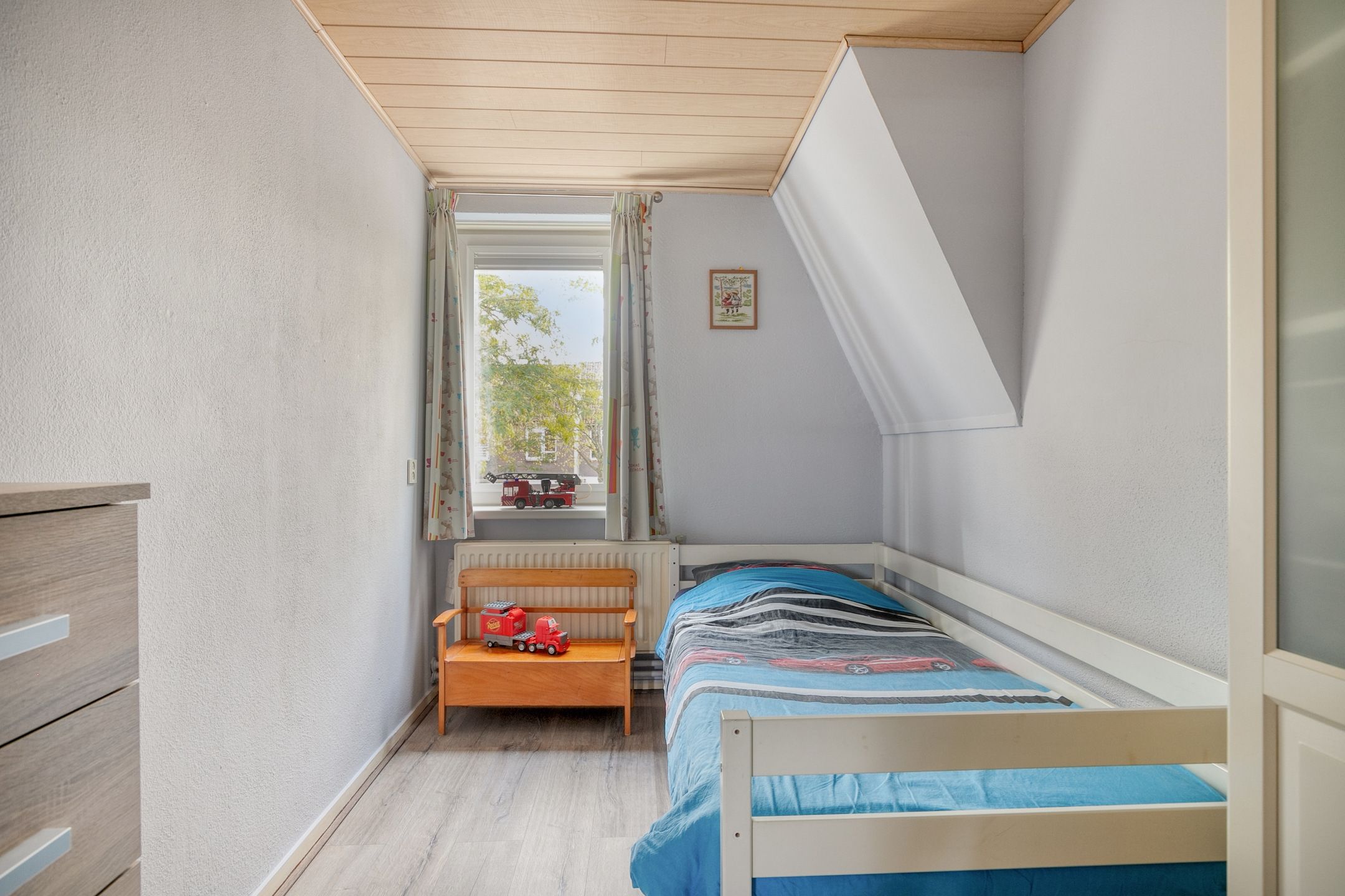 Foto 18 van Silene 87