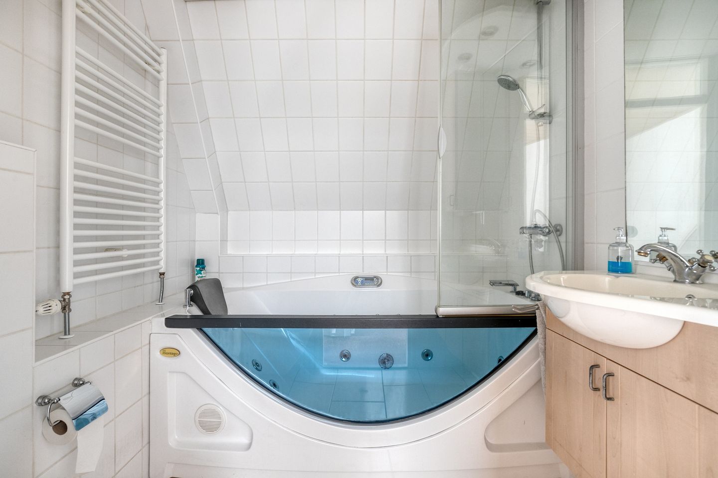 Foto 20 van Silene 87