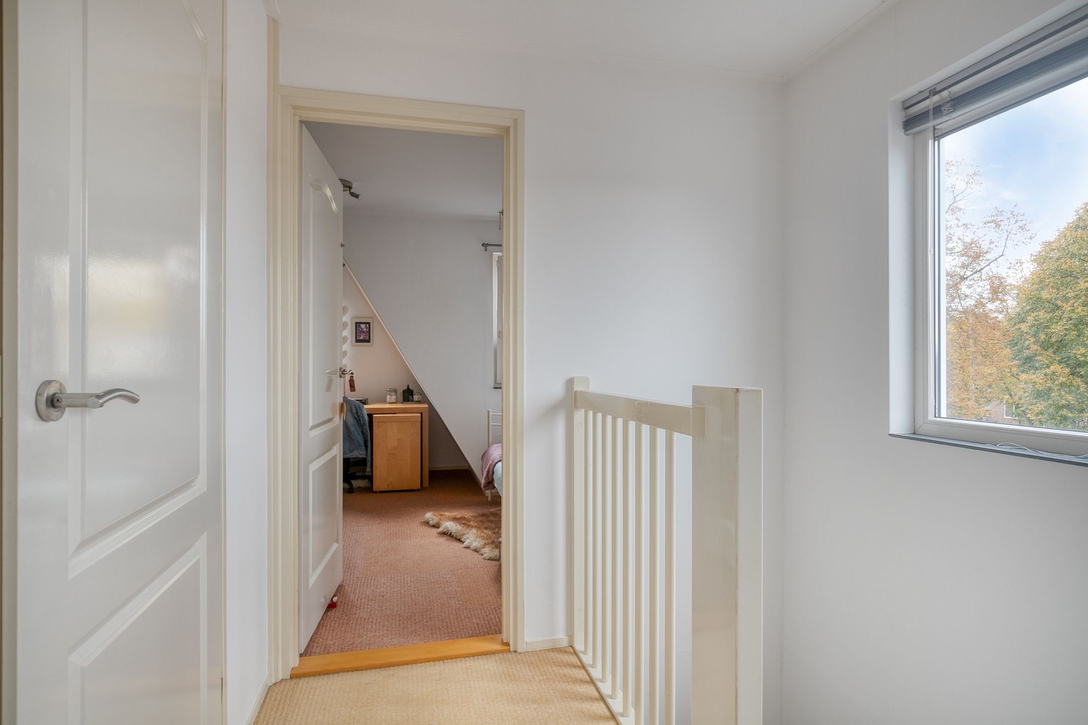 Foto 24 van Silene 87