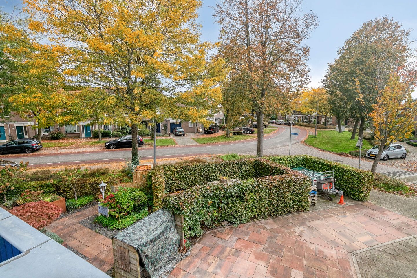 Foto 34 van Silene 87