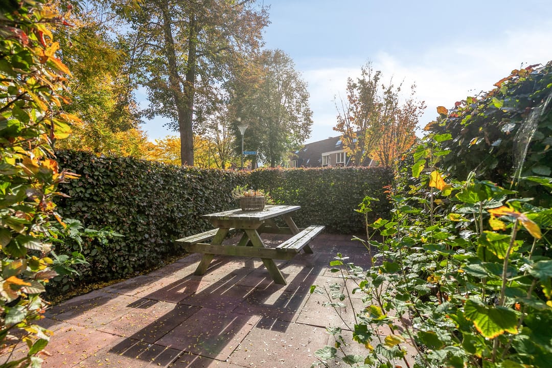 Foto 37 van Silene 87