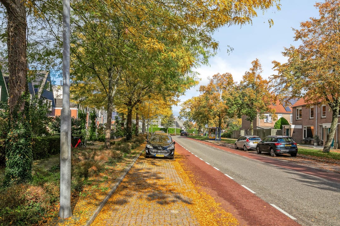 Foto 41 van Silene 87