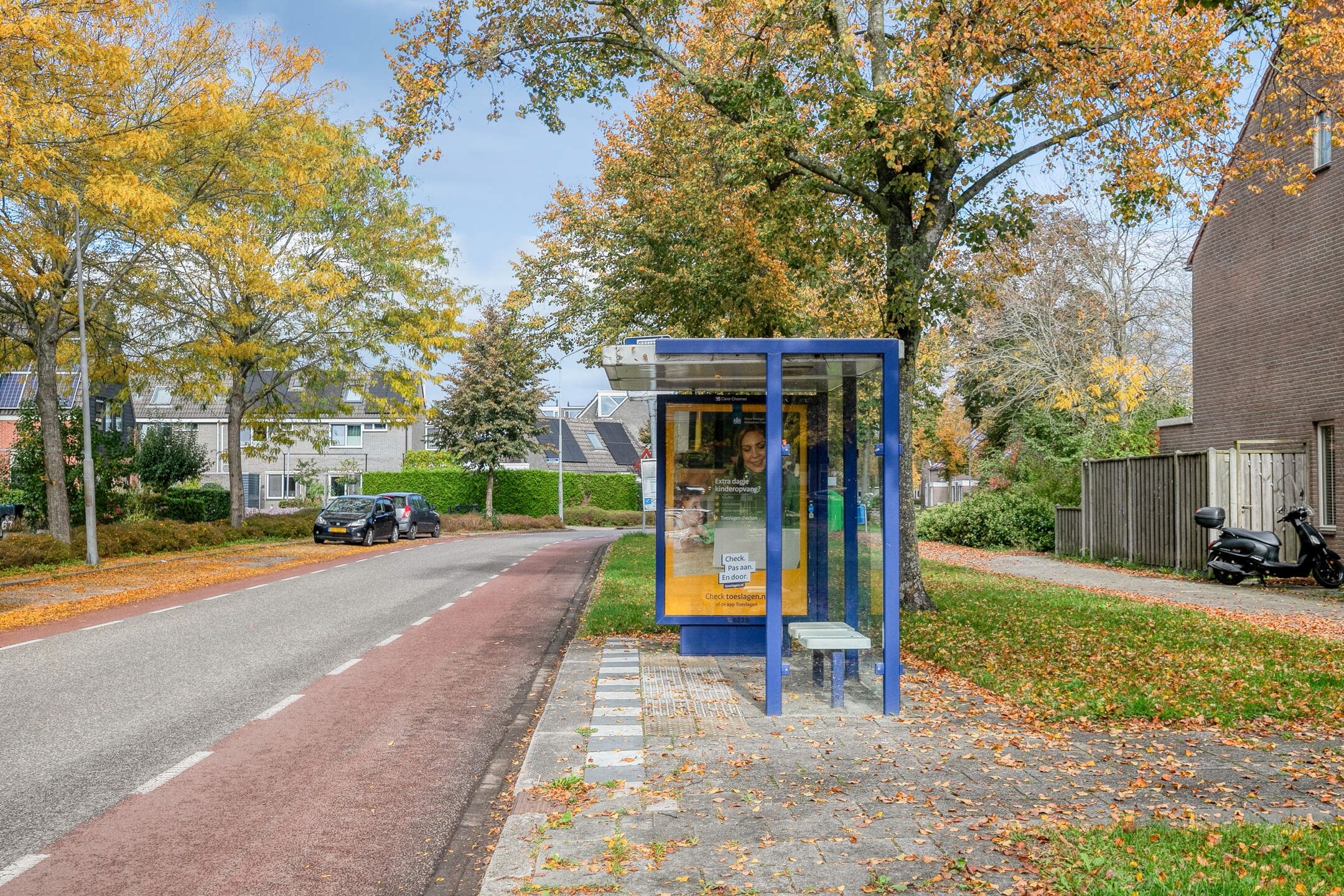 Foto 42 van Silene 87