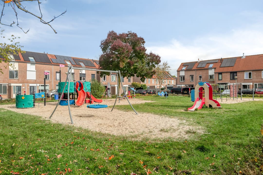 Foto 43 van Silene 87