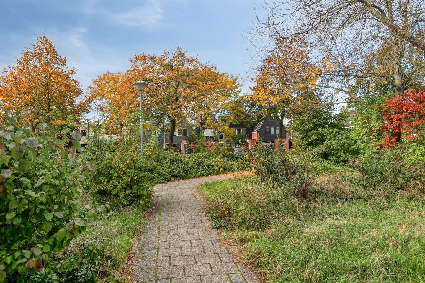 Foto 44 van Silene 87