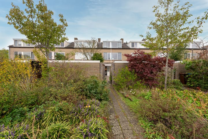 Photo 38 of Quitodreef 7