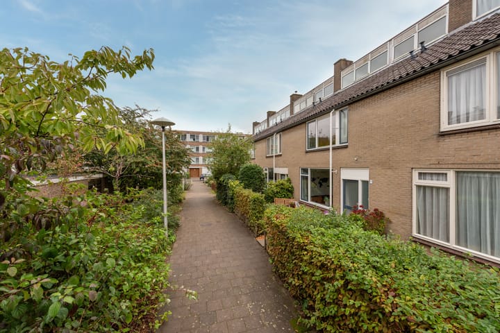 Photo 39 of Quitodreef 7