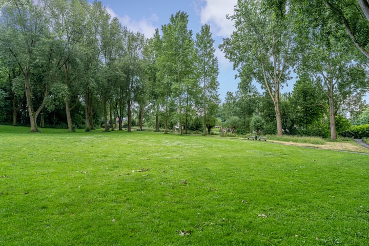 Photo 41 of Quitodreef 7