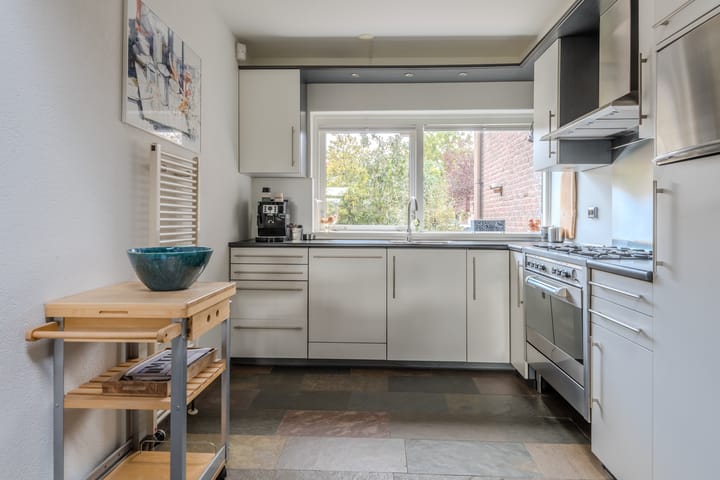 Photo 9 of Bongerd 65