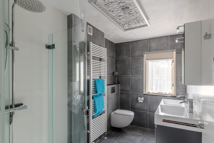 Photo 24 of Bongerd 65