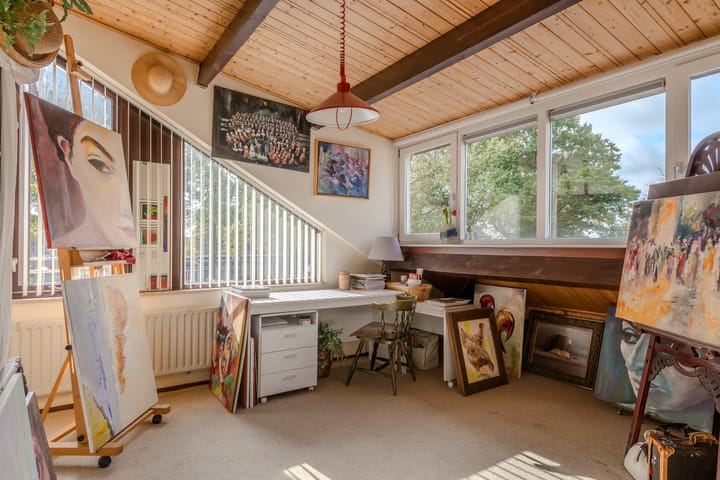 Photo 30 of Bongerd 65