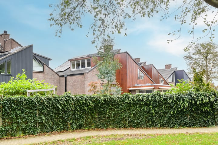 Photo 39 of Bongerd 65