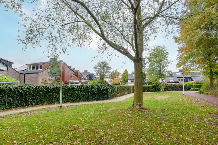 Photo 40 of Bongerd 65