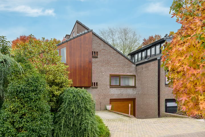 Photo 42 of Bongerd 65