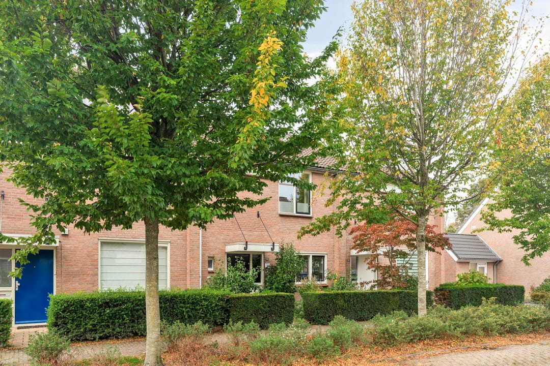 Foto 2 van Tongelreep 13