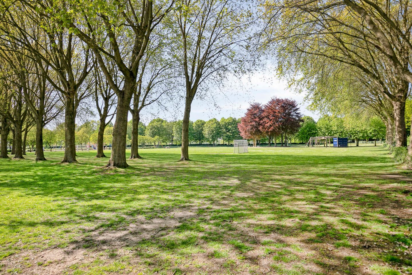 Foto 35 van Tongelreep 13