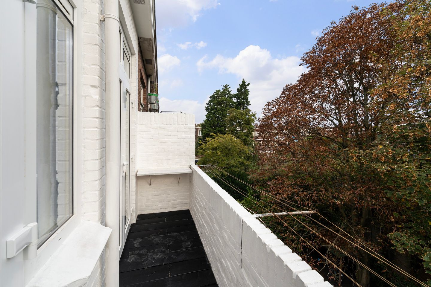 Foto 20 van Heelsumstraat 124