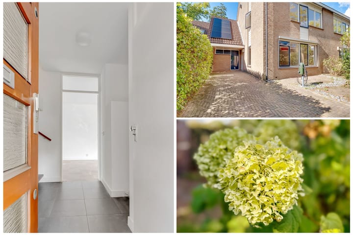 Foto 3 van Pieter Breughellaan 9