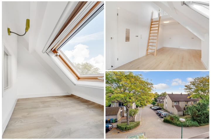 Foto 29 van Pieter Breughellaan 9