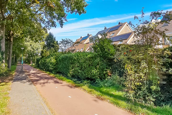 Foto 51 van Pieter Breughellaan 9