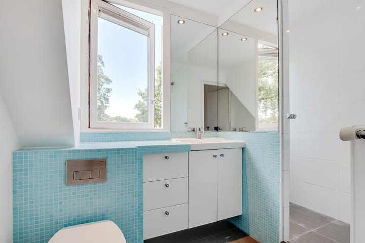 Foto 34 van Pieter Breughellaan 9