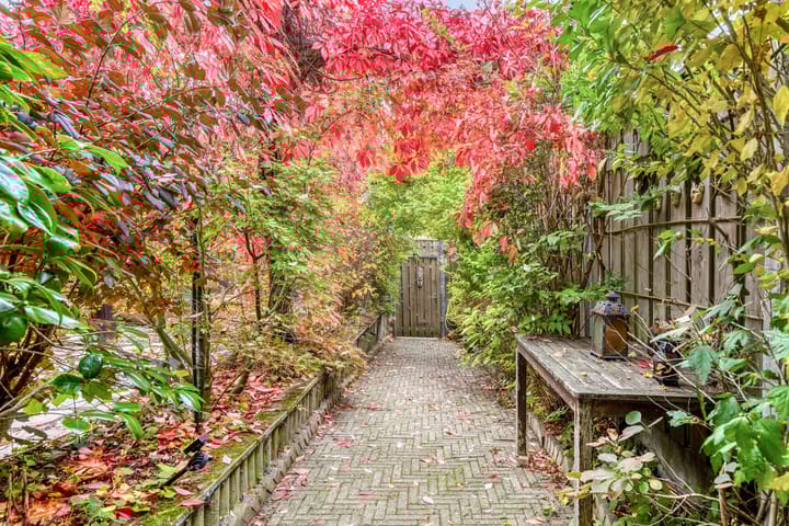 Foto 55 van Hoogewei 48