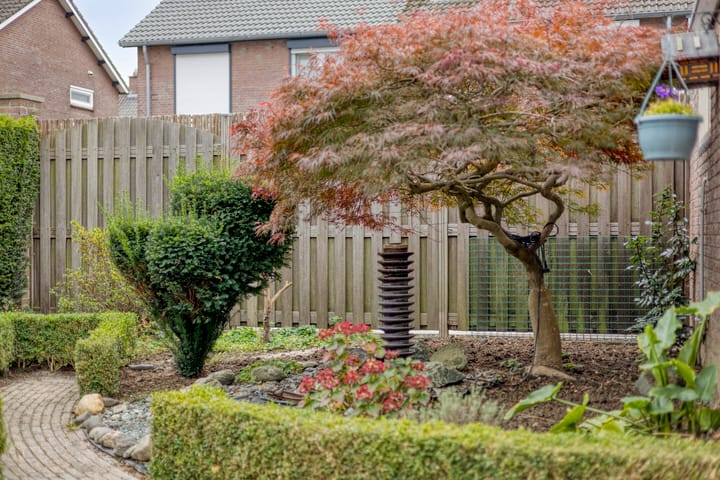 Foto 22 van Merelstraat 11