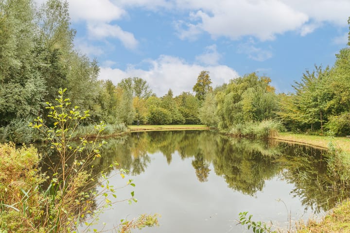 Foto 23 van Iepenrodelaan 14-HS