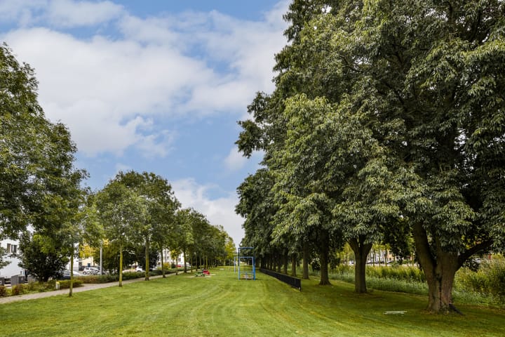 Foto 22 van Dolingadreef 213