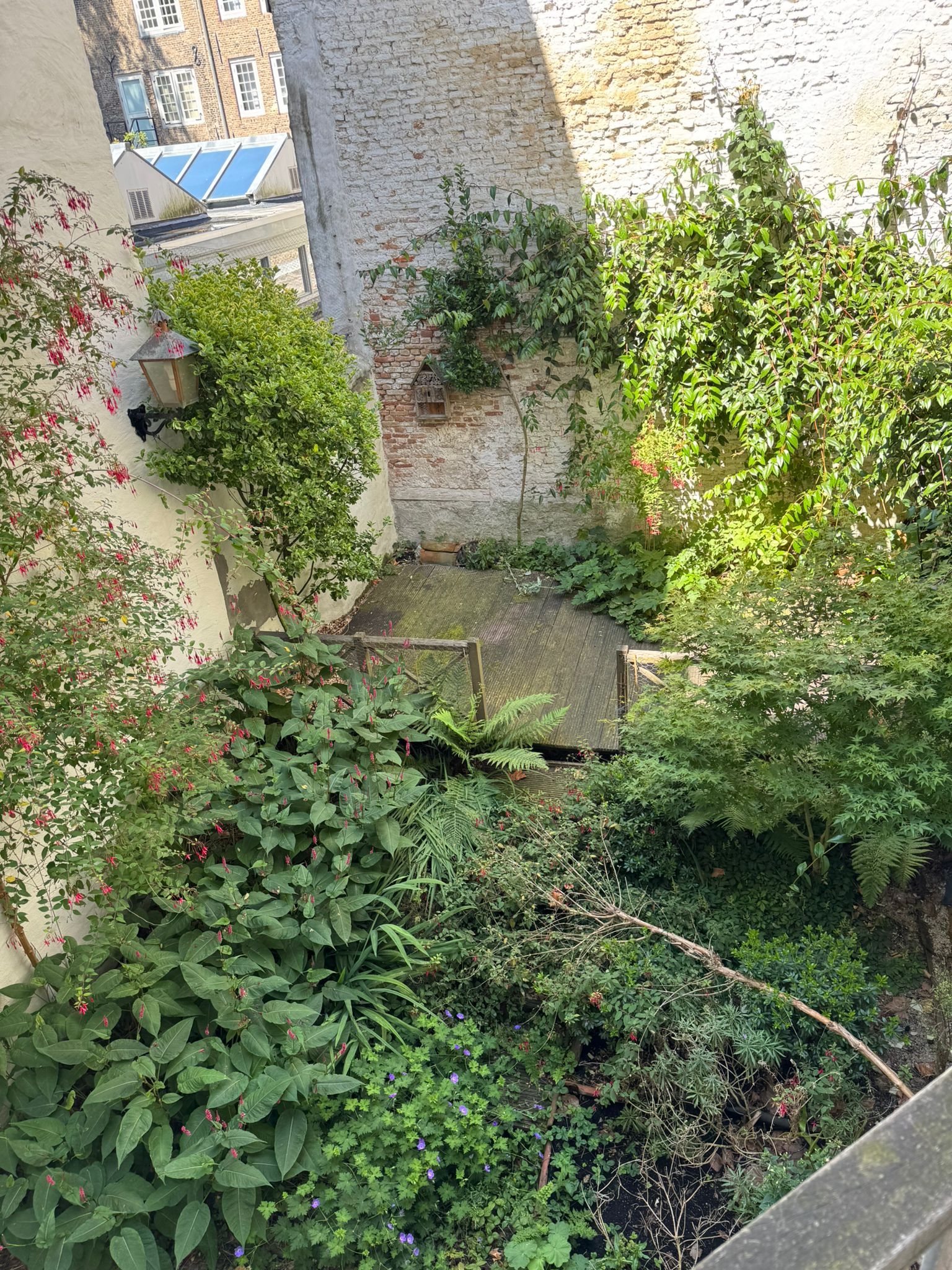 Foto 15 van Wijnstraat 85