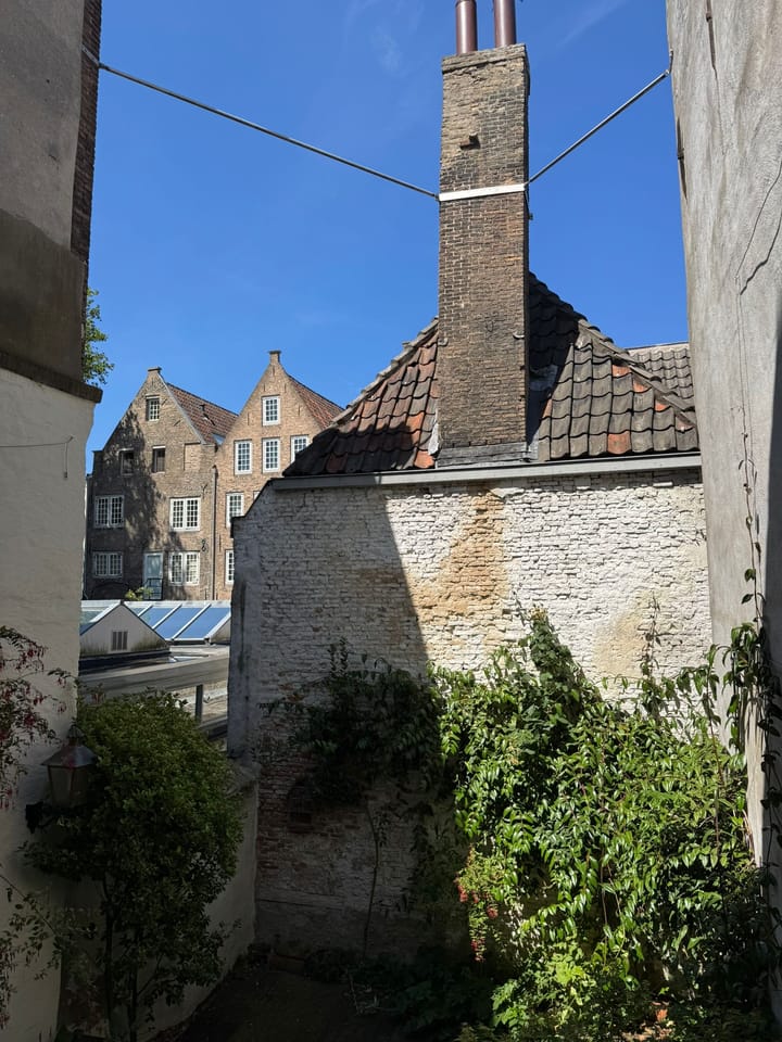 Photo 59 of Wijnstraat 85