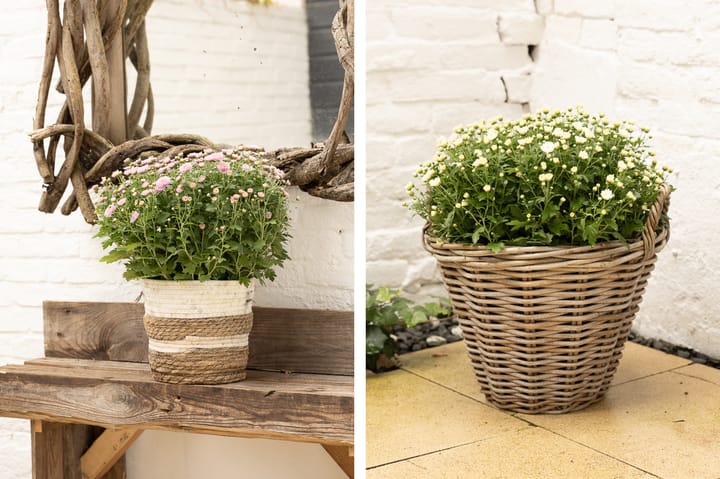 Foto 22 van Oosterburgstraat 3