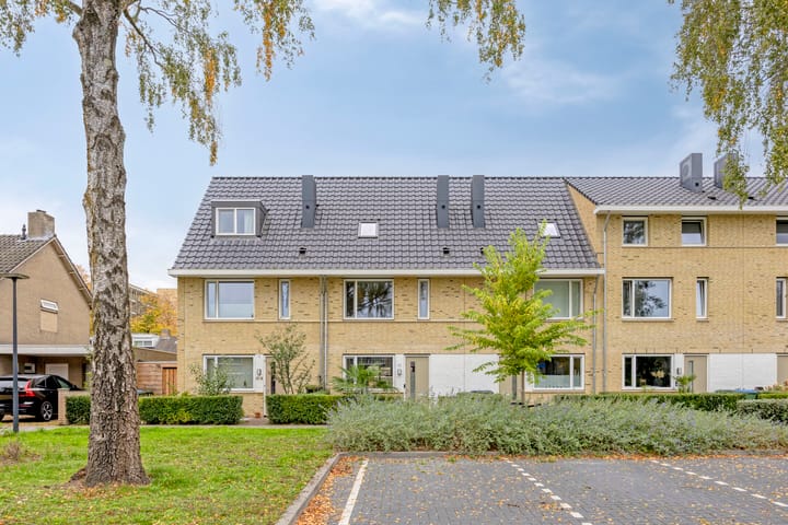 Baron van Hallstraat 20