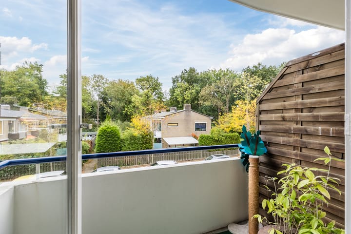 Foto 25 van Ridderspoorlaan 11