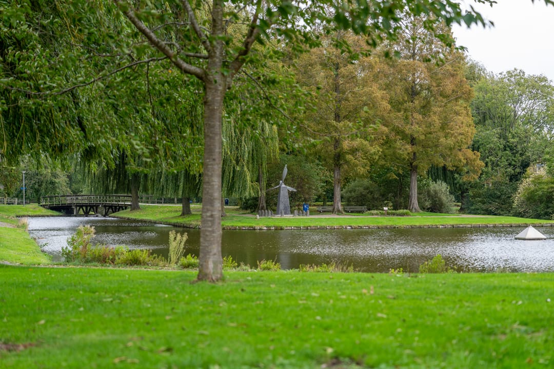 Foto 43 van Schweitzerstraat 96