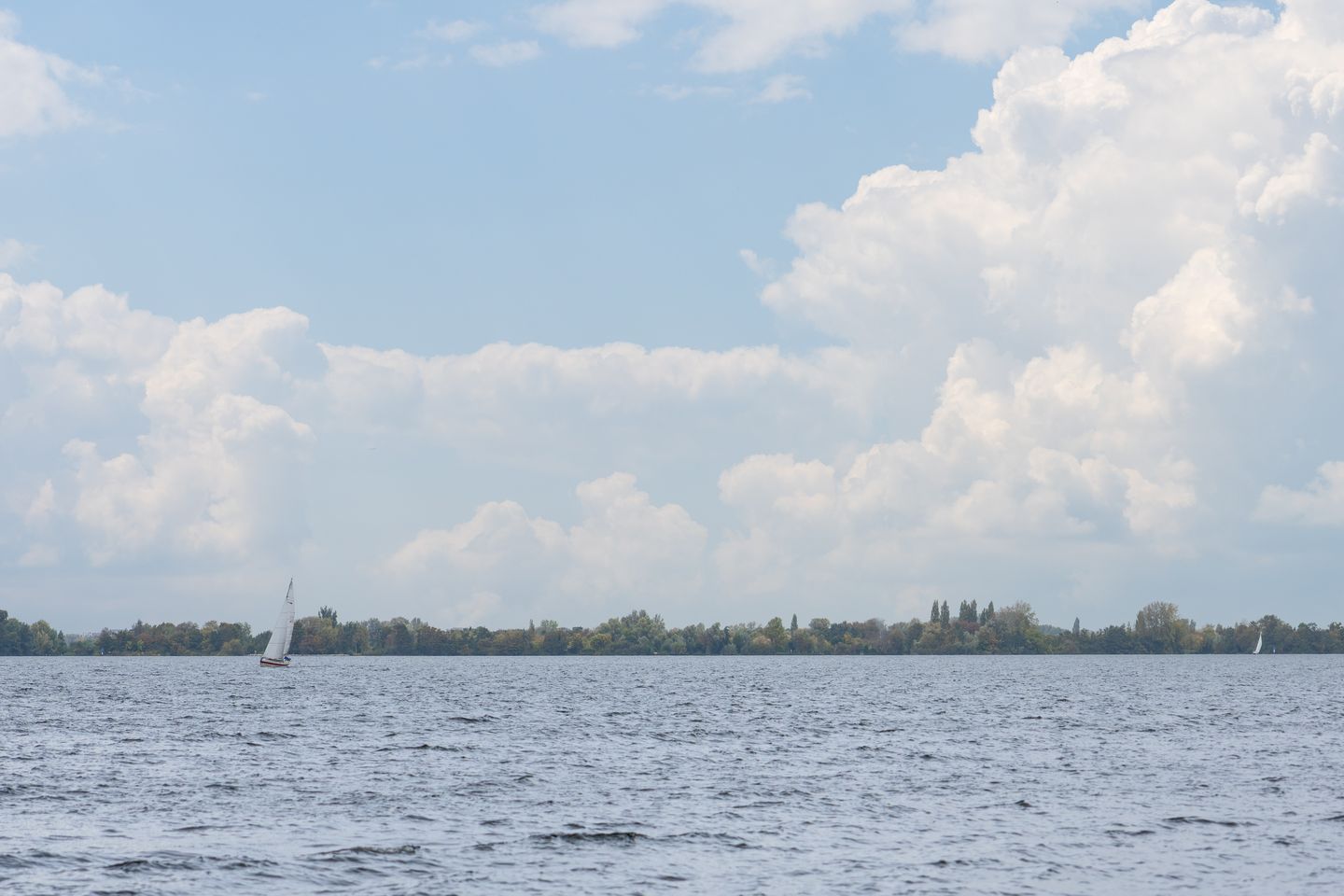 Foto 44 van Schweitzerstraat 96