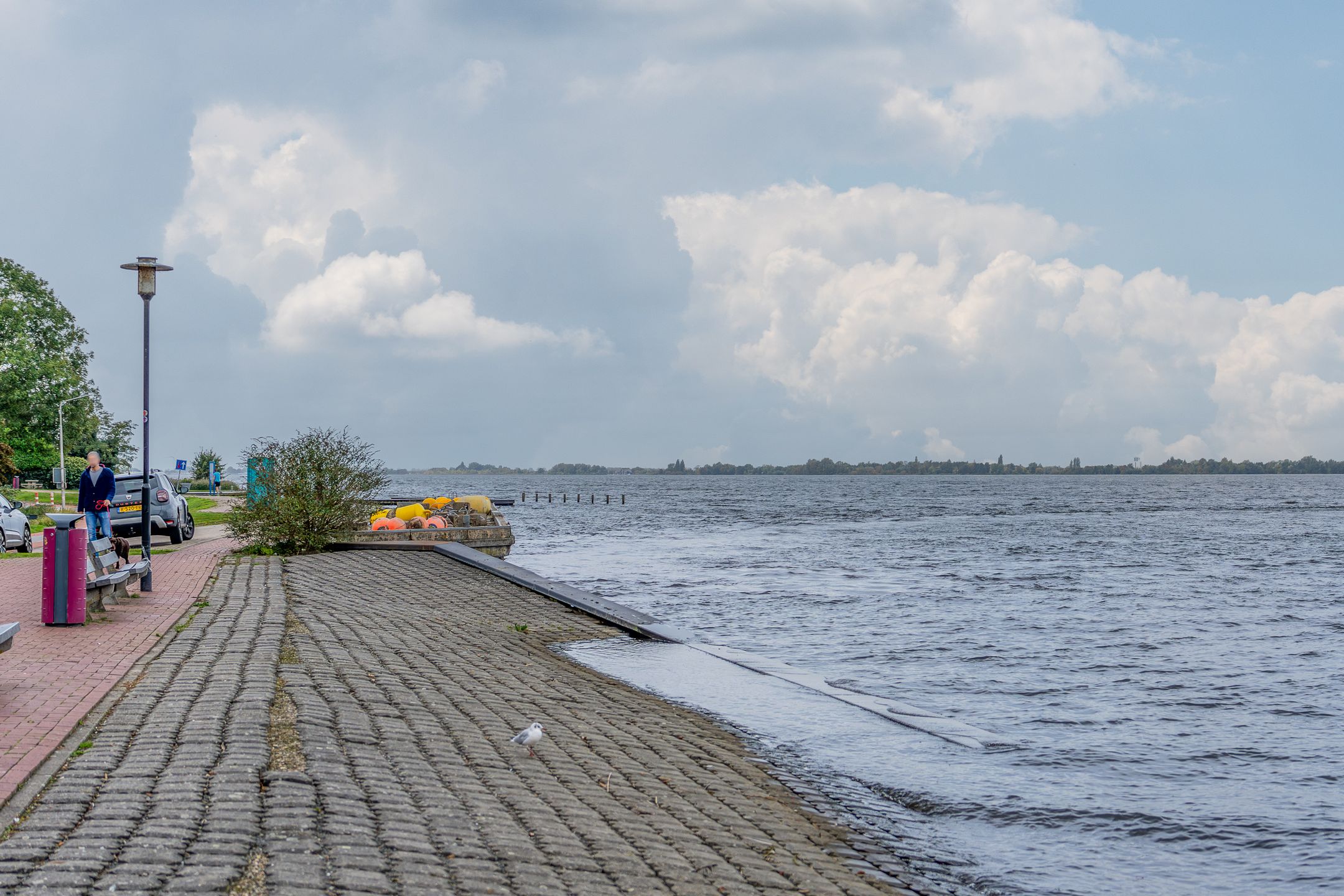 Foto 45 van Schweitzerstraat 96