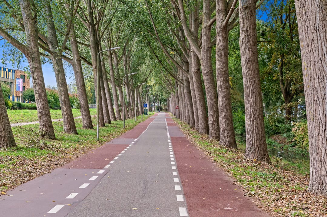 Foto 43 van Pasteurlaan 8