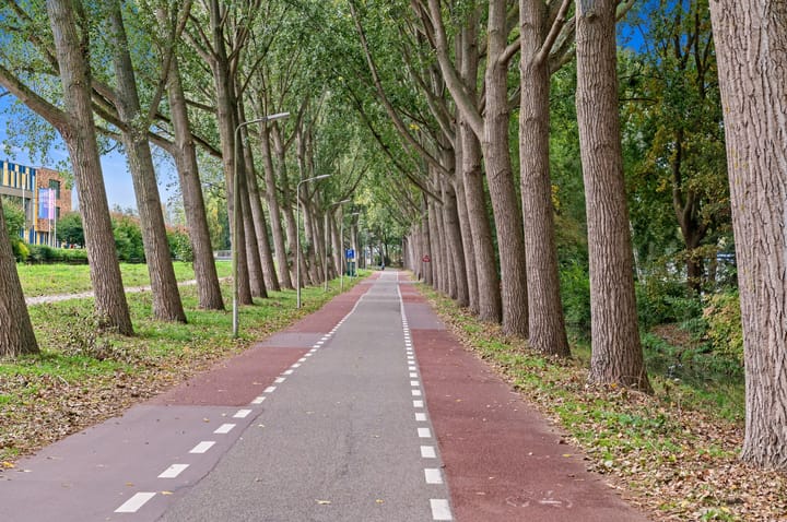 Photo 43 of Pasteurlaan 8