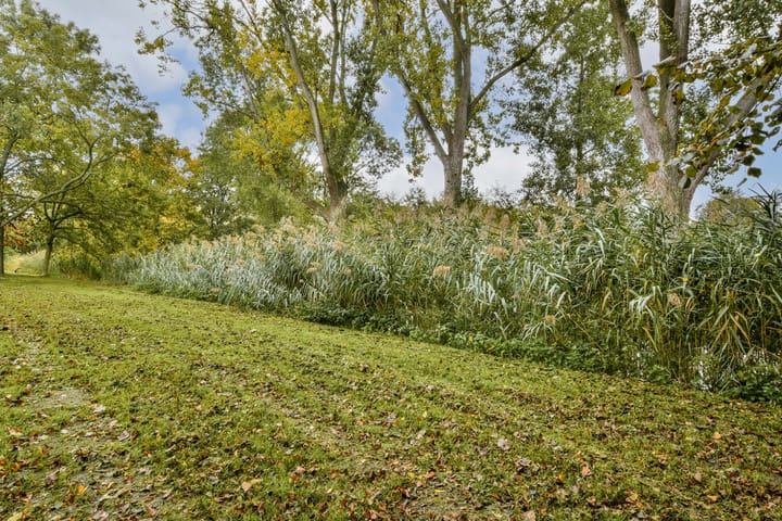 Foto 30 van Moddermanstraat 96