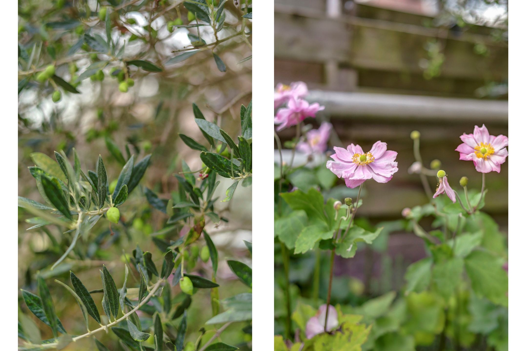 Foto 6 van Diepenhorstweg 8