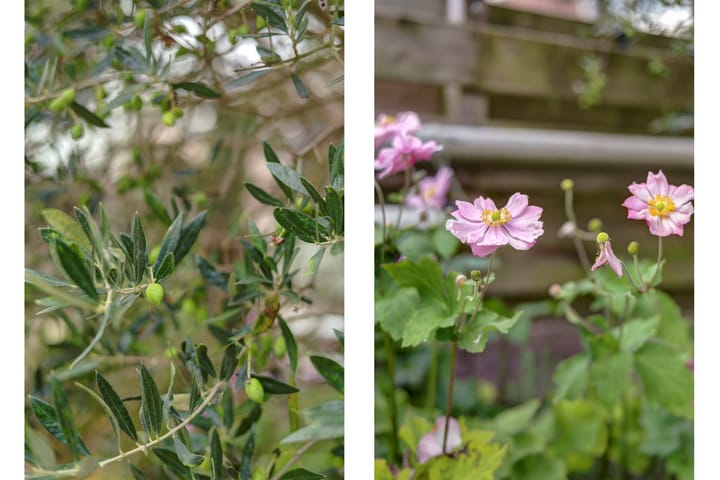 Foto 6 van Diepenhorstweg 8