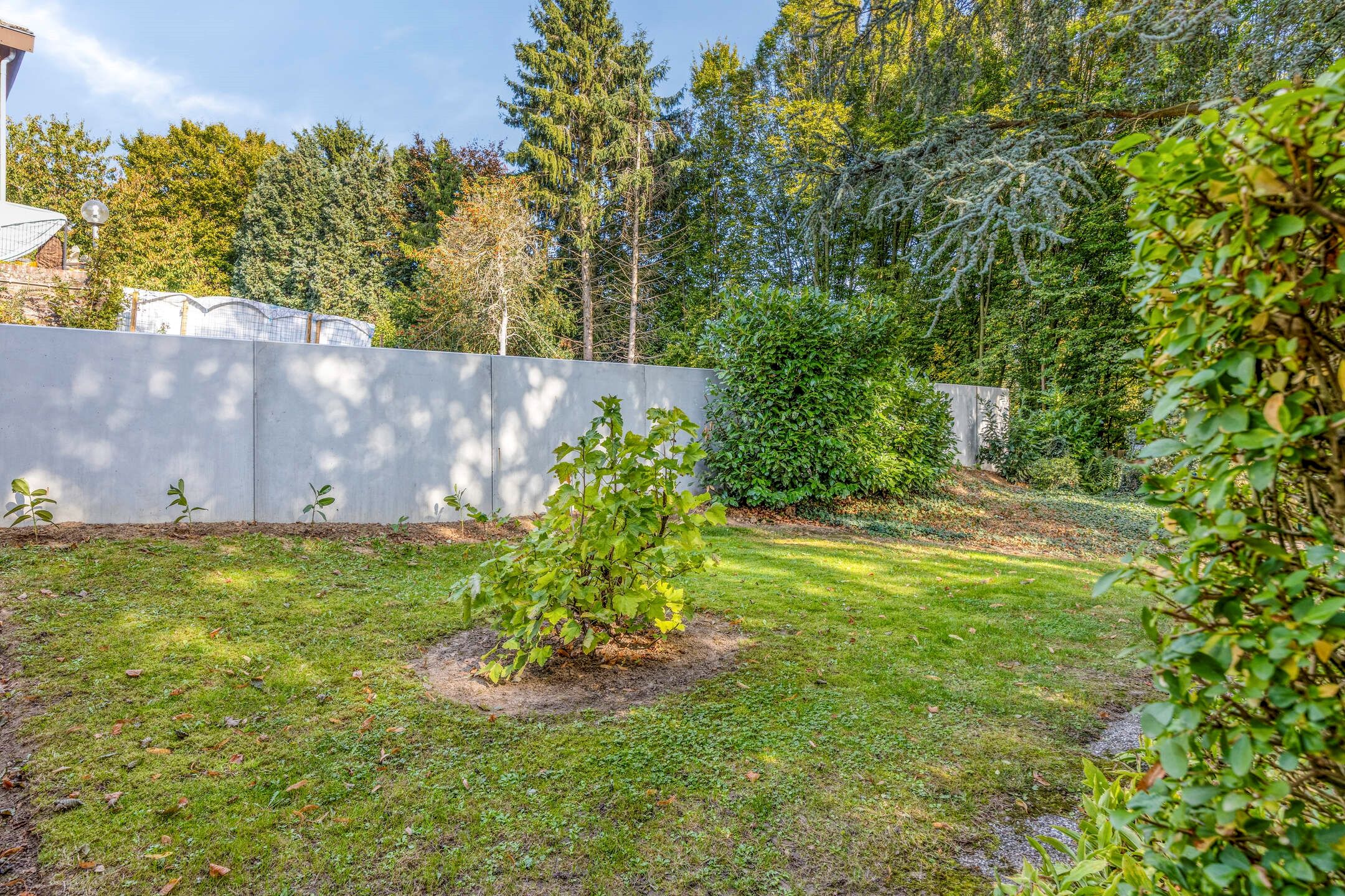 Foto 33 van Kasteelstraat 64