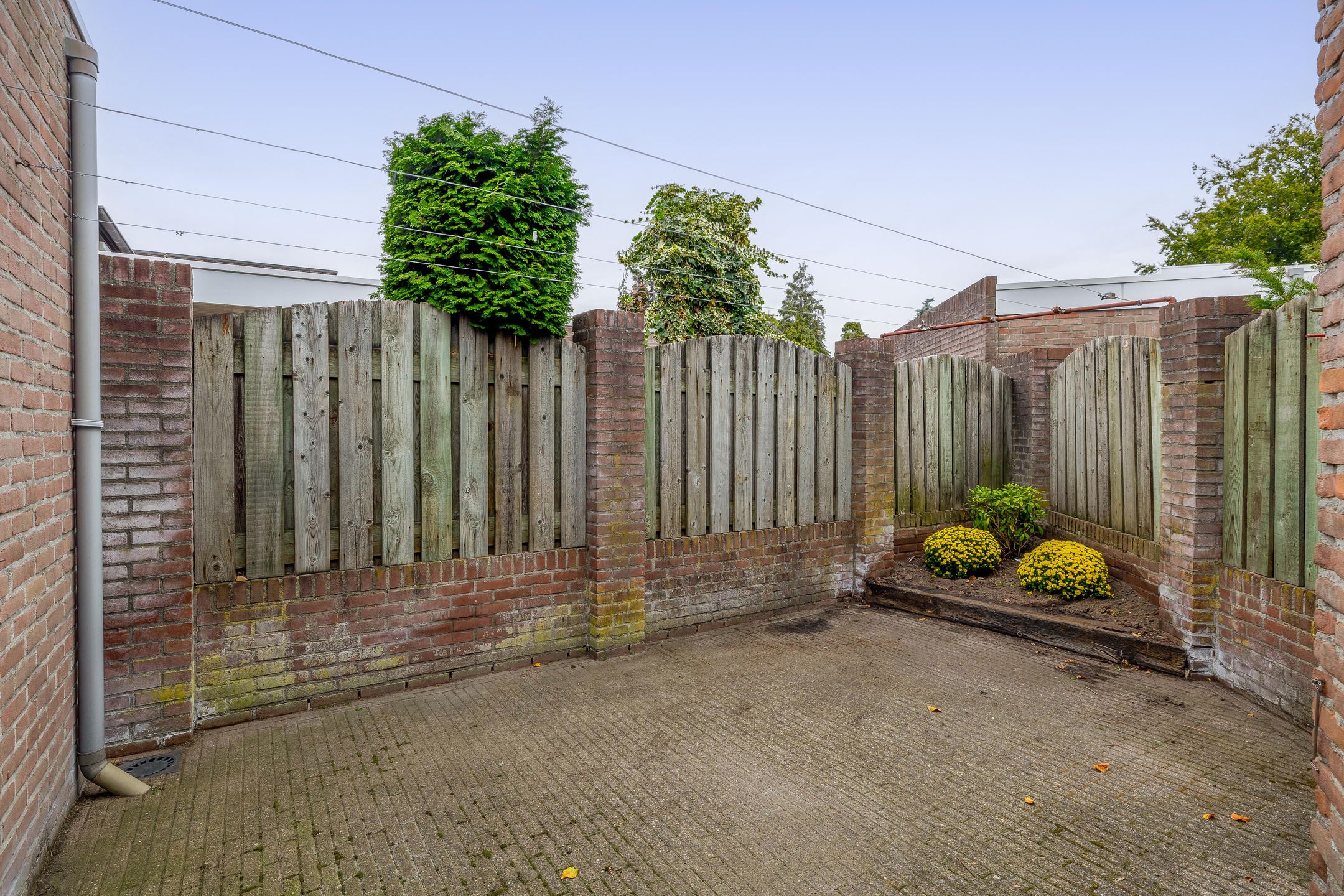 Photo 39 of Berkenstraat 53